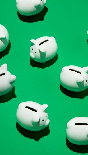 Sustainify_green_savings